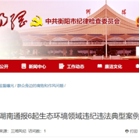 超時、超量、越界采砂！湖南通報6起生態(tài)環(huán)境領域違紀違法典型案例 2起與砂石有關！