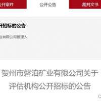 再倒一家！廣西砂石企業(yè)破產(chǎn)清算被受理